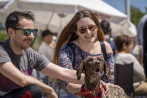 Desfile de perros AUPA-Bioparc