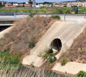 vertido aguas fecales Palmaret Alt