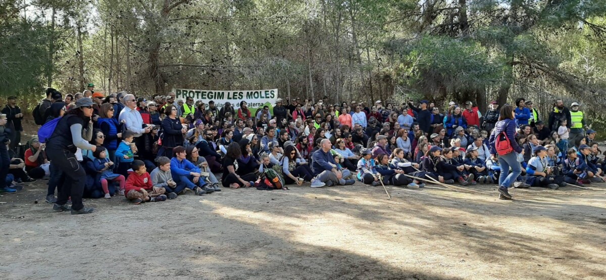 zorro les moles paterna