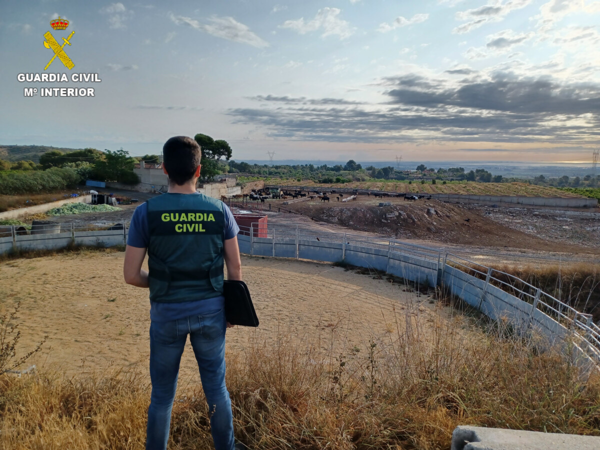 Agente de la Guardia Civil, en la ganadería afectada por un robo