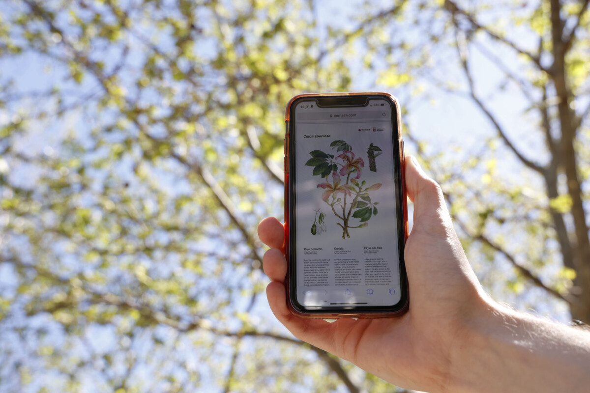 Mislata medioambiente II