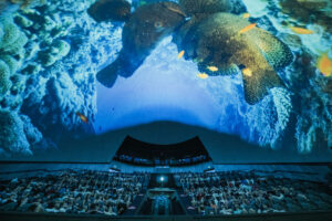Película IMAX 'Oceans' en el Hemisfèric