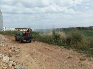 tratamiento mosquitos Catarroja