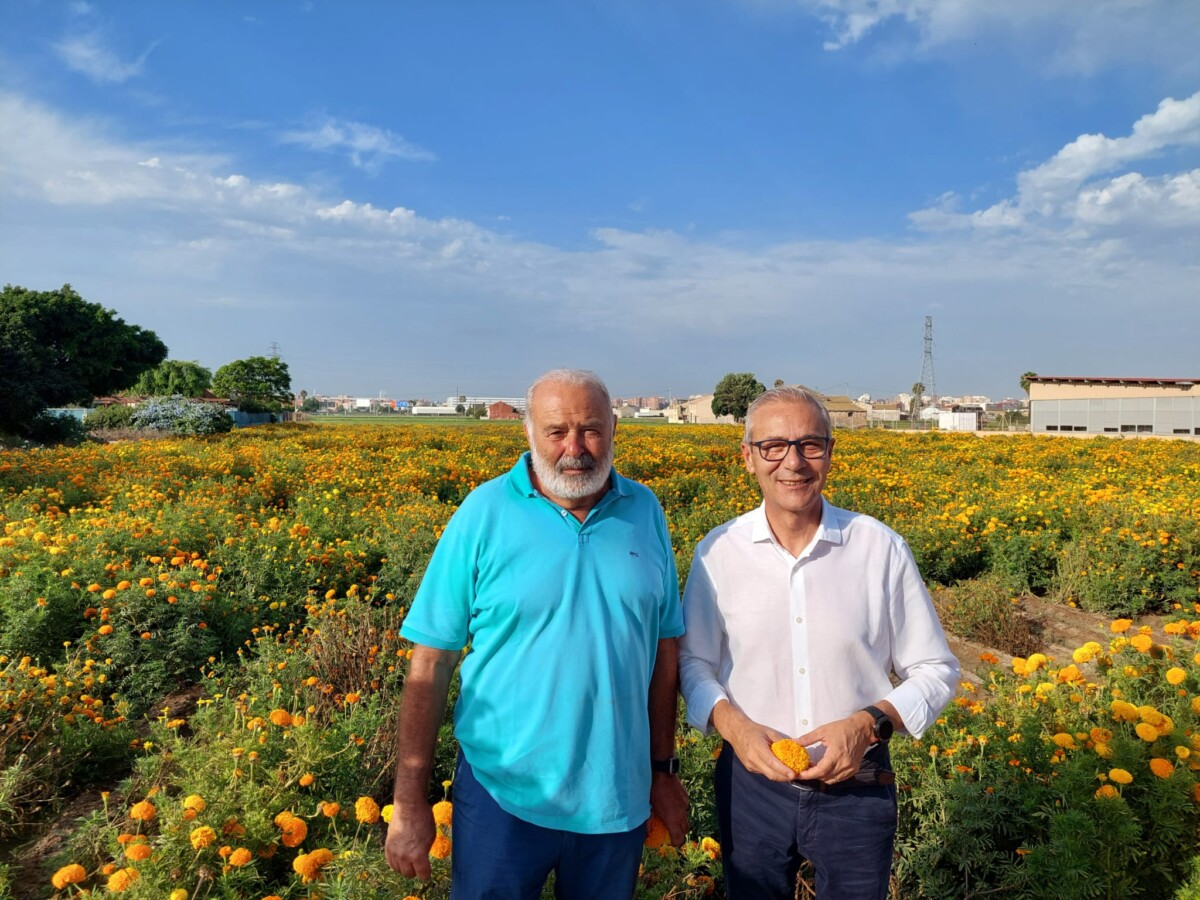 Visita de Santiago Ballester y las Falleras Mayores de Valencia a los campos de clavelones en Alboraya