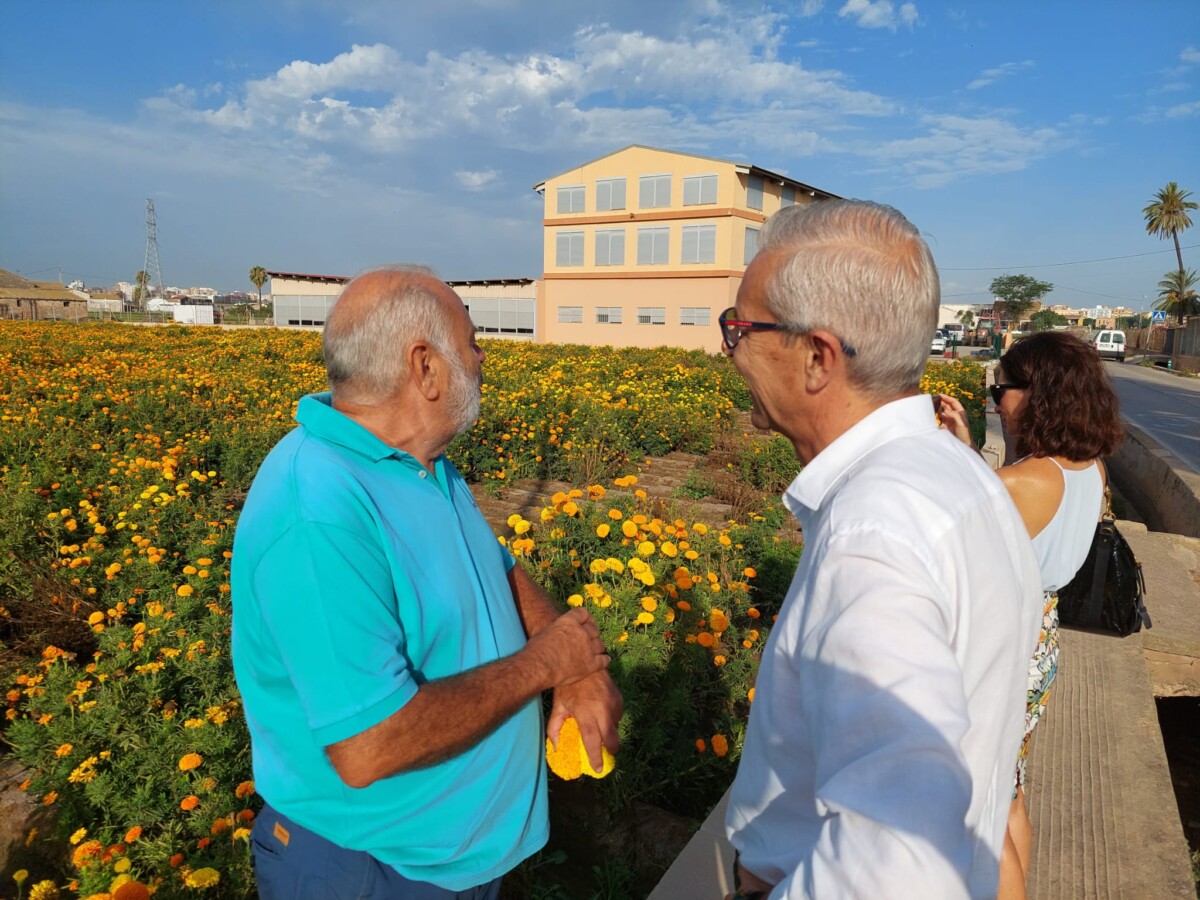 Visita de Santiago Ballester y las Falleras Mayores de Valencia a los campos de clavelones en Alboraya