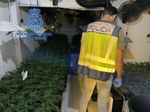 desmantelación marihuana Xenillet Torrent