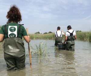 Voluntariado medioambiental en Rafalell i Vistabella