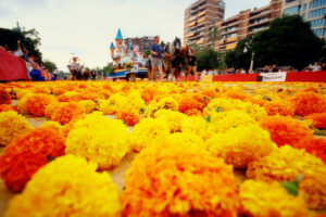 Clavellones para la Batalla de Flores
