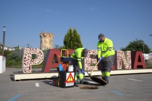 Control de plagas Paterna