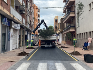 picanya arbres