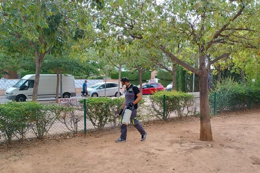 pipican Godella limpieza