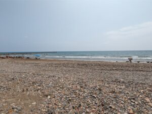playa perros del puig