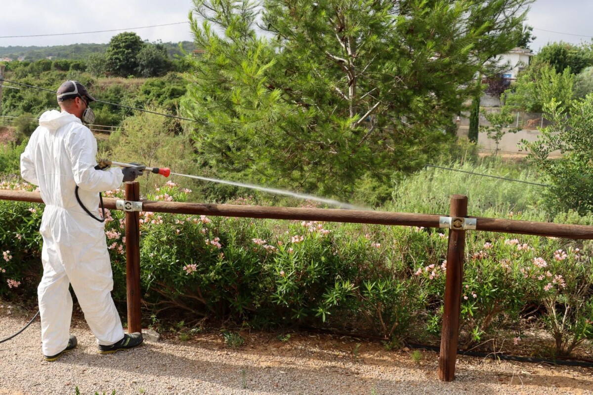 Santiago Calatayud presenta a la asociación de vecinos El Pantano la campaña contra el mosquito tigre