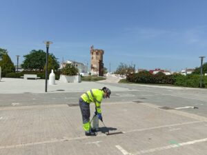 Tratamiento contra mosquito tigre en Paterna