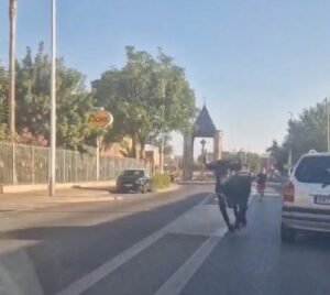 vaquillas se escapan fiestas Tavernes Blanques