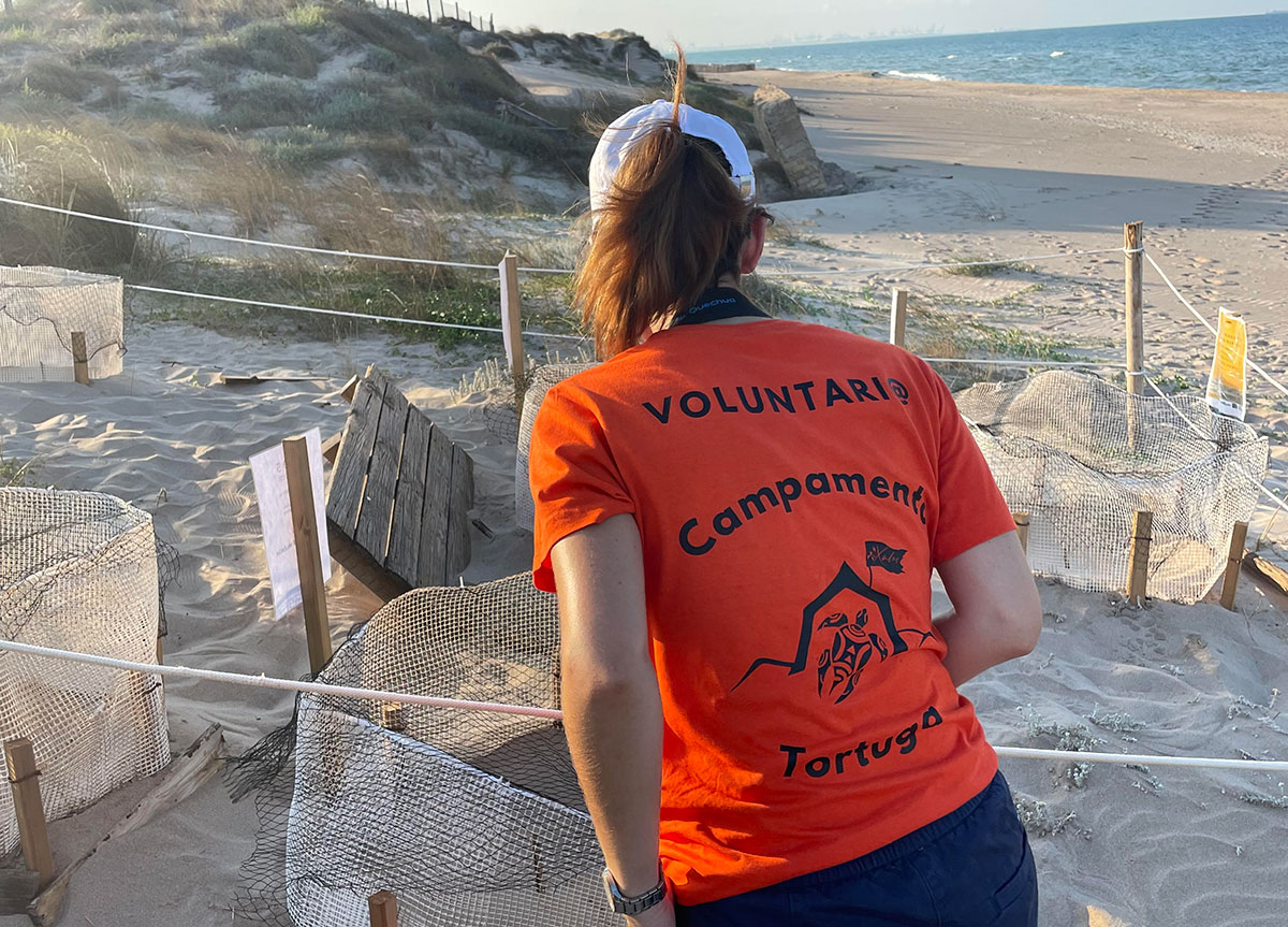 Campamento Tortuga 2023 en la Playa de la Punta