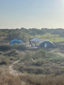 Campamento Tortuga 2023 en la Playa de la Punta