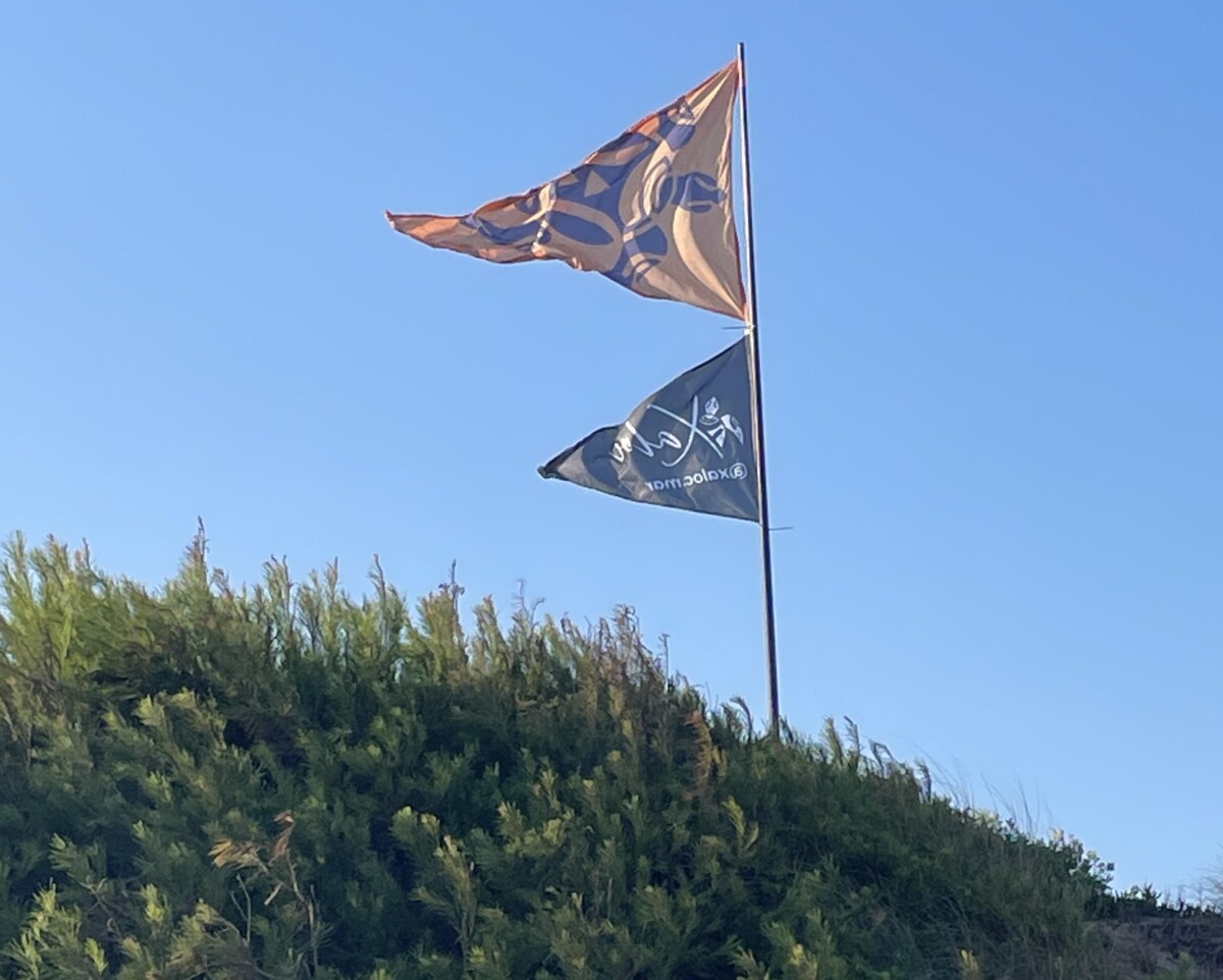 Campamento Tortuga 2023 en la Playa de la Punta