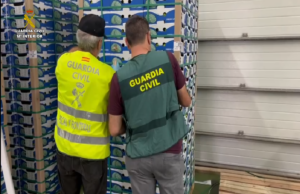 Guardia Civil cartones fruta con cocaína