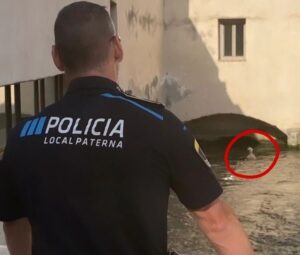 policia local Paterna rescate oveja