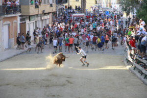 Puçol bous al carrer