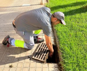 Tratamientos mosquito Puçol