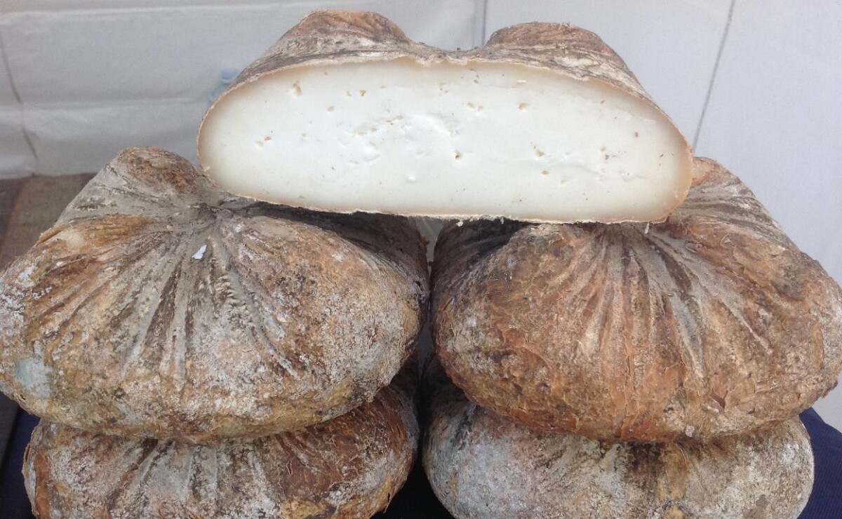 Queso artesano de Montanejos