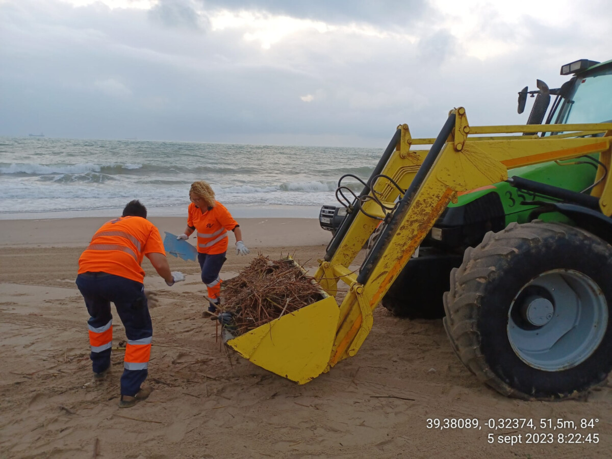 Personal del Ayuntamiento recogiendo residuos en la playa