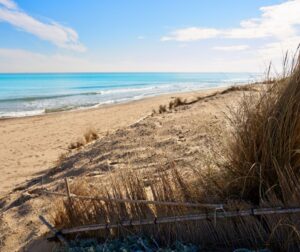playas sur valencia