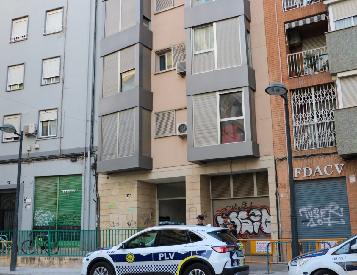 La Policía Local de Valencia desconecta 40 enganches ilegales a la red eléctrica