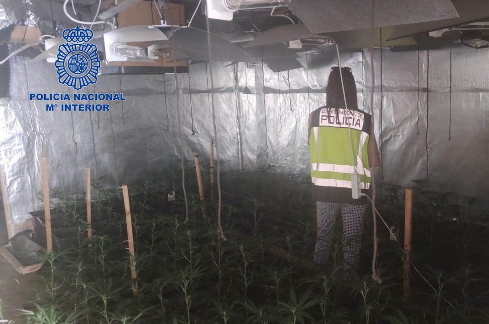 plantación marihuana Torrent Policía Nacional