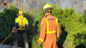 Incendio en El Saler