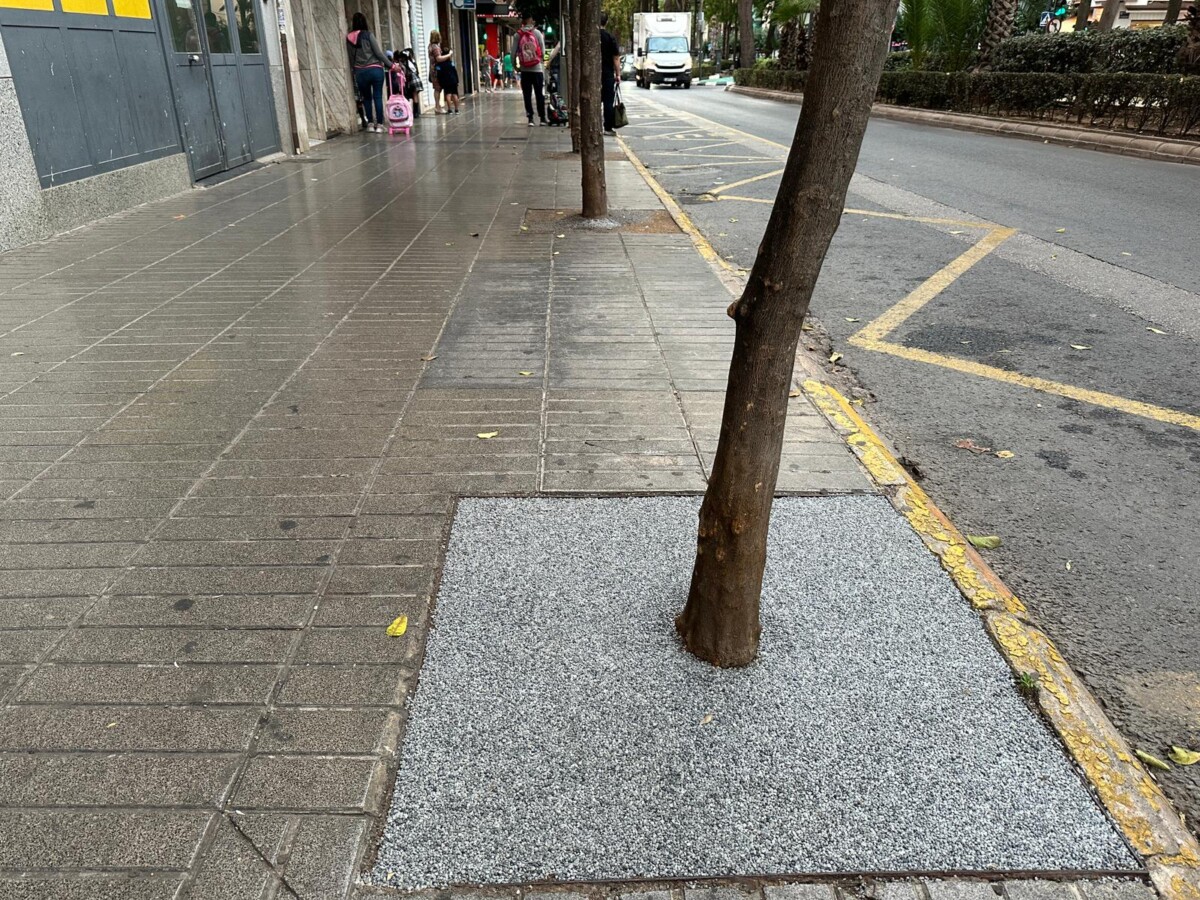 reparación alcorques árboles Torrent