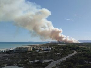 Incendio en El Saler. Foto: VOST Comunidad Valenciana
