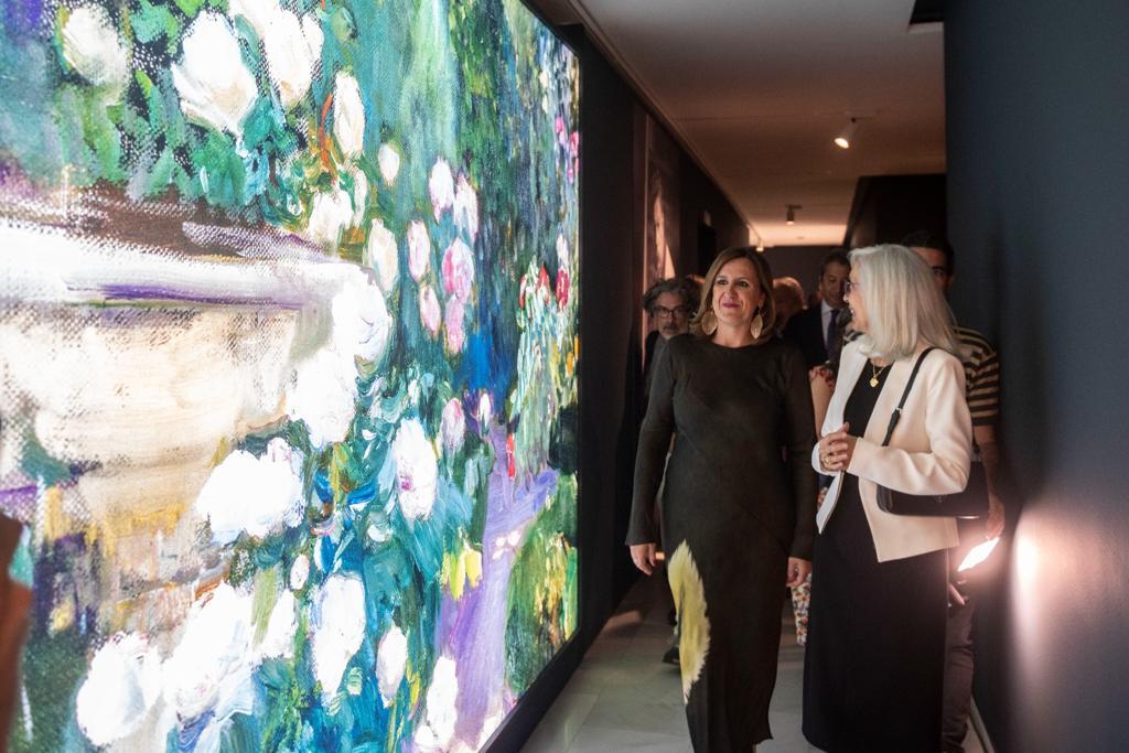 Sorolla a través de la luz