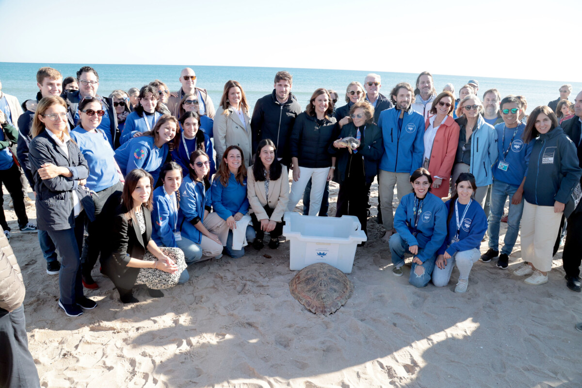 La alcaldesa de Valencia, María José Catalá, asiste a la suelta de tortuga en la Playa de El Saler junto a la doctora Sylvia Earle.
