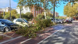 Ramas de un árbol caídas sobre el carril bici de la calle Almazora