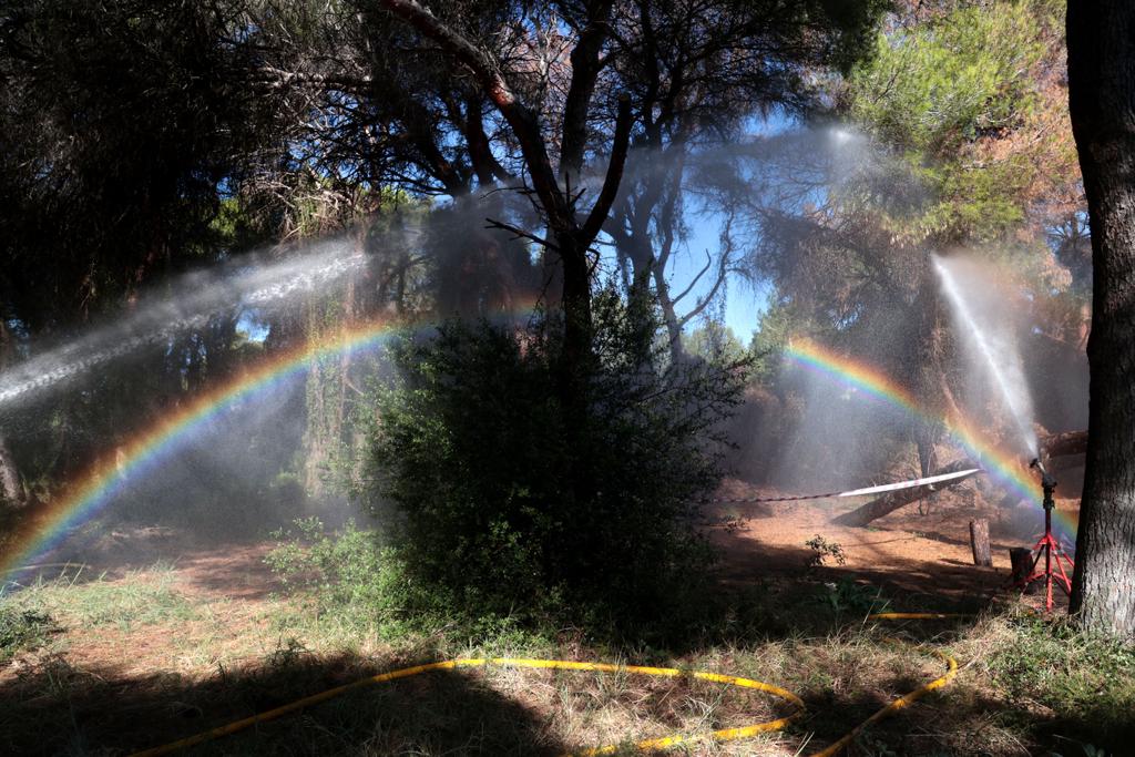 Cañones de agua en la Devesa de El Saler