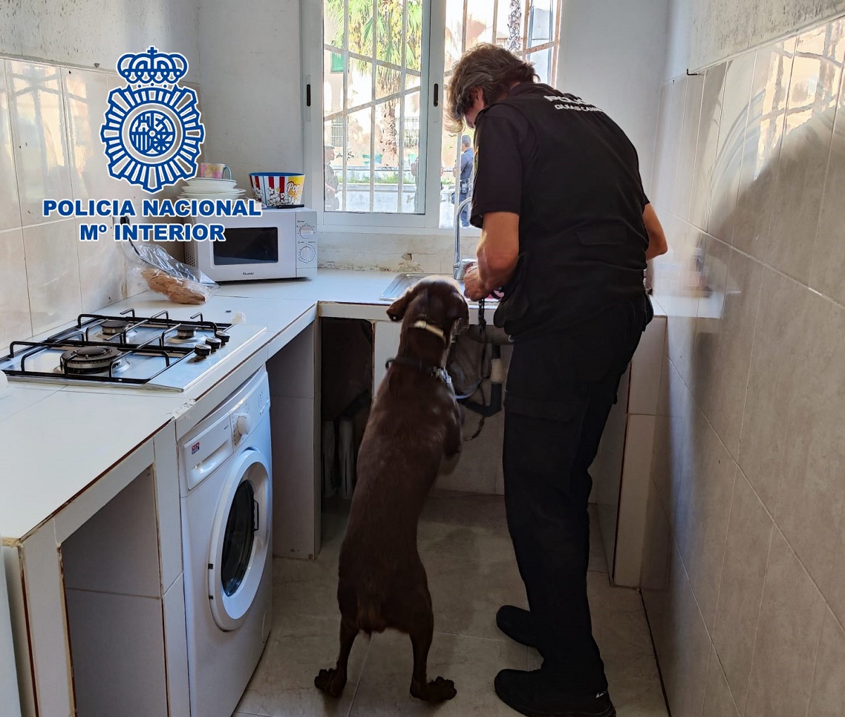 La Policía Nacional desmantela dos puntos de venta de droga en las Casitas Rosas Operación policial contra al tráfico de drogas en las Casitas Rosas