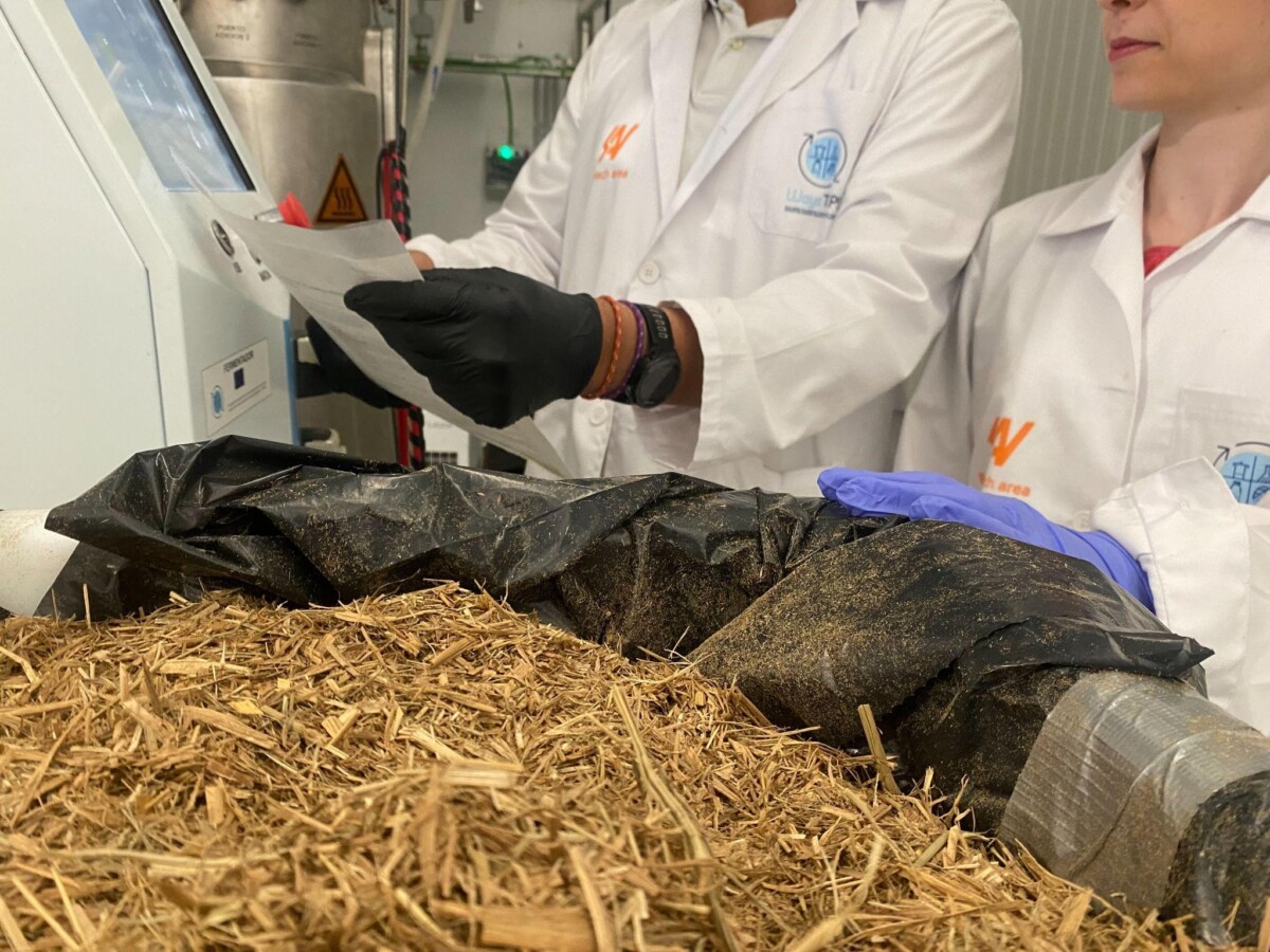 generalitat paja arroz Albufera