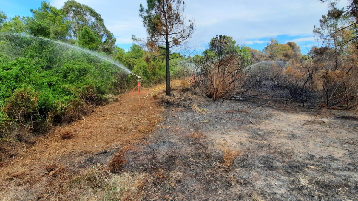 incendio El Saler II
