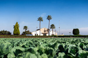 museo de la huerta de Valencia en Almàssera
