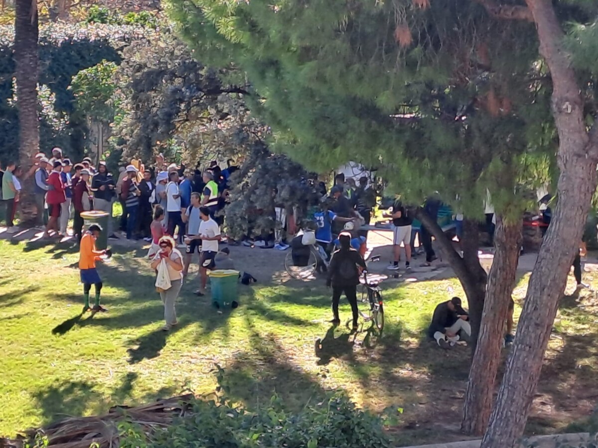 Reparto solidario de alimentos en el Jardín del Túria