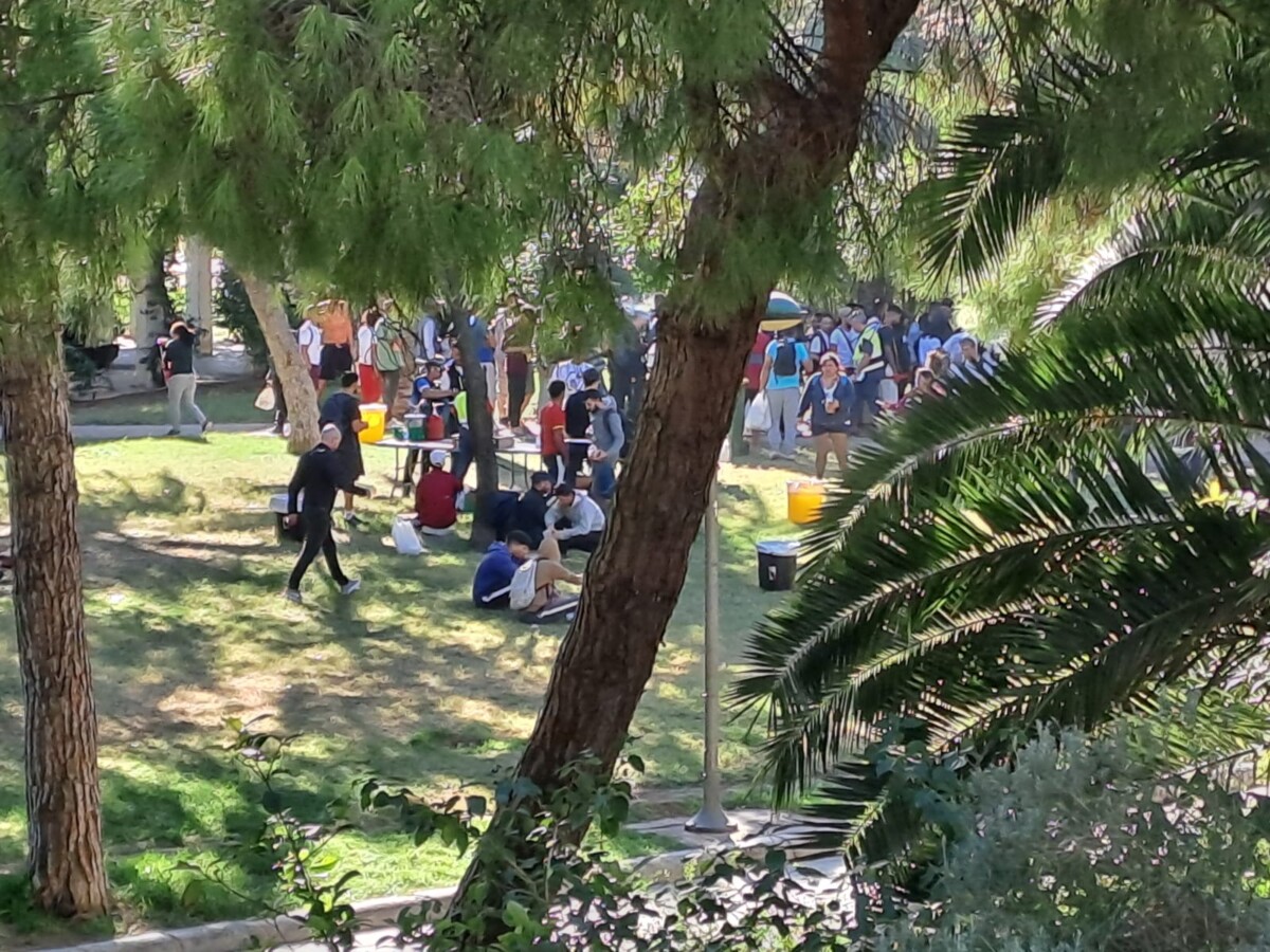 Reparto solidario de alimentos en el Jardín del Túria