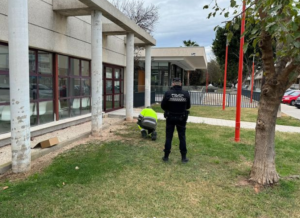 Almàssera campaña heces