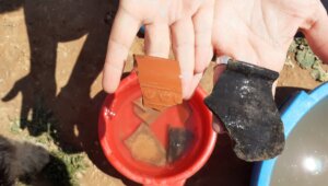 Troballes al Jardi Arqueologic Catarroja