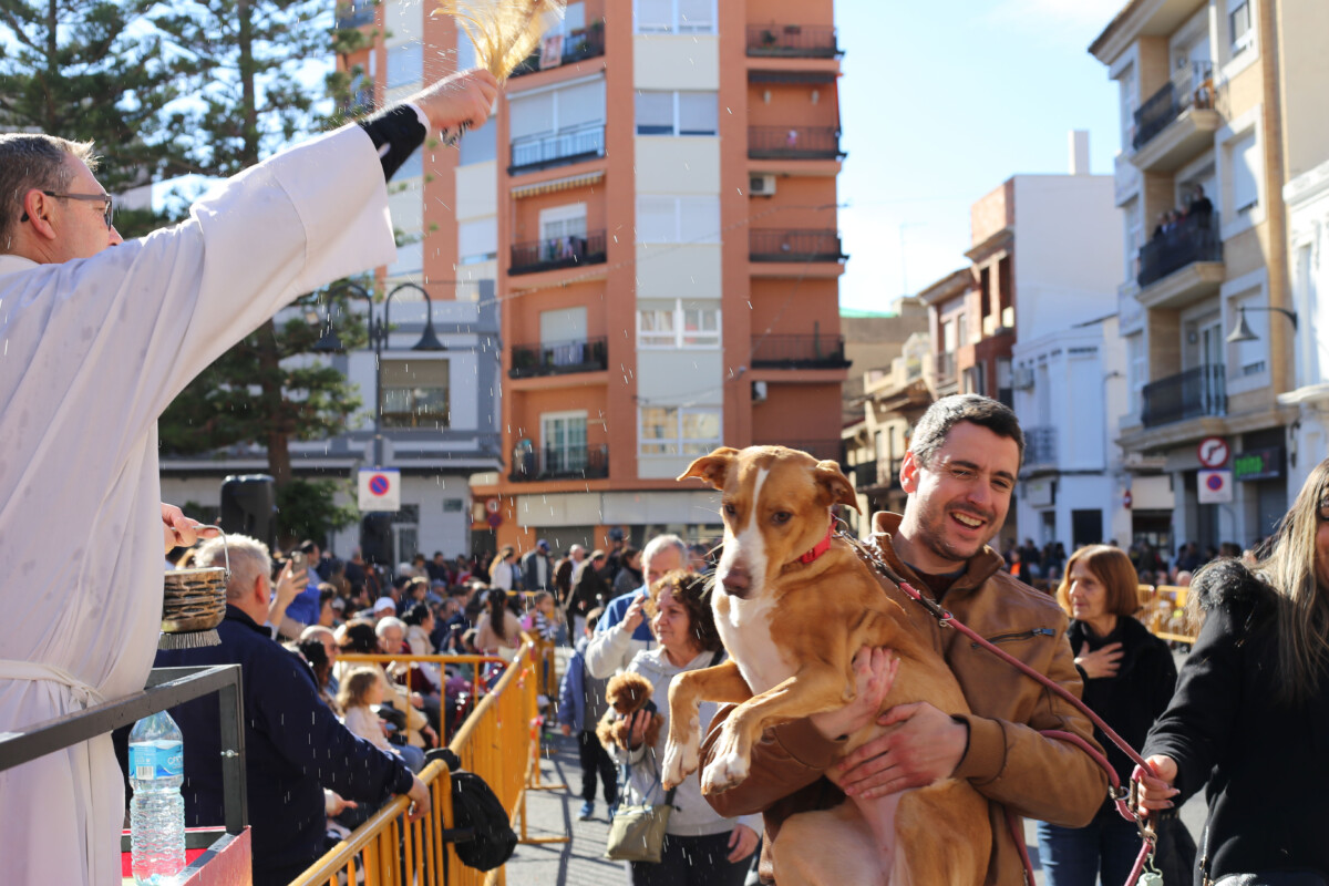 bendición animales Catarroja Sant Antoni