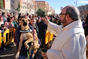 bendición animales Quart de Poblet Sant Antoni