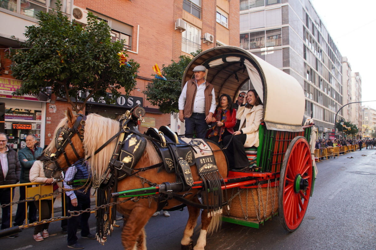 Bendición de animales de San Antonio Abad 2024 