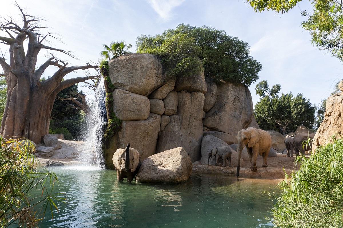 Lago de los elefantes de Bioparc Valencia